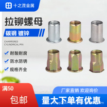 拉铆螺母平头竖纹拉铆螺母拉帽丝 小平头半六角全六角铆螺母大全