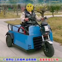 摆渡车解决残疾人出行难题电动三轮可上轮椅残障车电动助残子母车