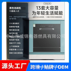 出口外贸款洗碗机全自动家用13套嵌入智能洗碗消毒除菌热风烘干