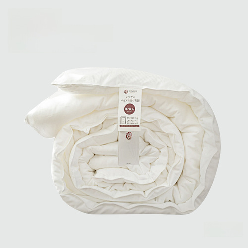 B02 Exit Japan Silk Velvet Comforter Core 100% Cotton A Grade Spring and Autumn Warm Blanket Double Bed Four Seasons Washable Air Conditioner Cover