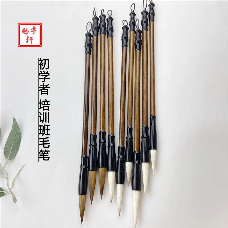 Учебный курс по каллиграфии для студентов