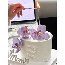 20262026ĸ�H��Ψ�������b�ˮ���MOM���Ƌ����Ґ�������m�R��