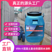 VRA-LM混凝土结构防腐防水涂料 高性能环氧改性弹性复合 耐博仕