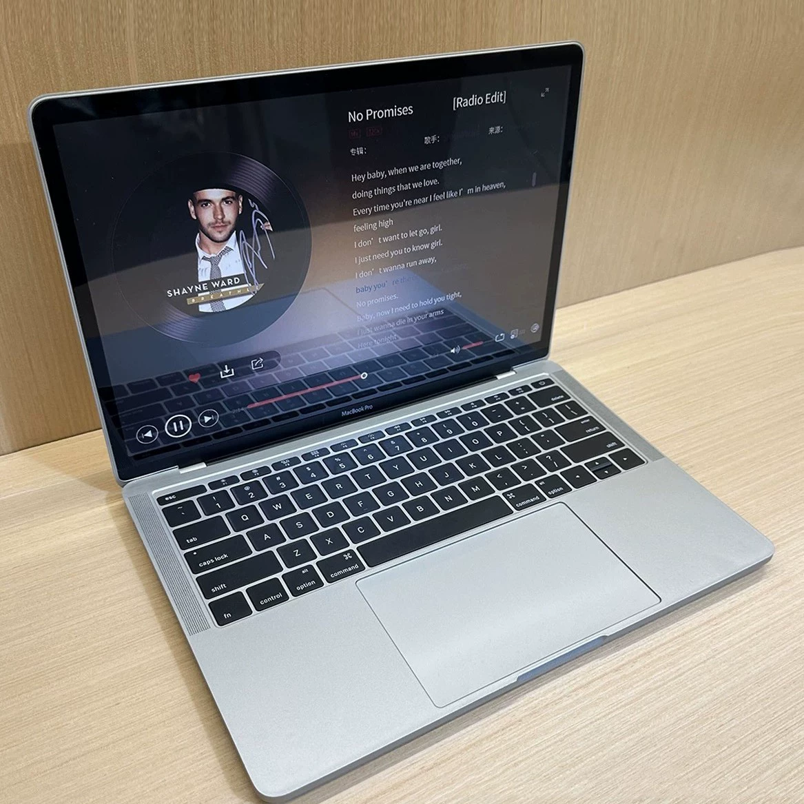 Модель ноутбука (Apple MacBook Pro 13.3) пластиковая копия дисплея, 13.3 дюйма, реалистичный
