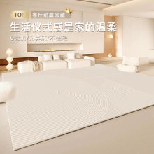 仿羊绒地毯客厅现代轻奢高级感地垫大面积全铺柔软卧室地毯定制