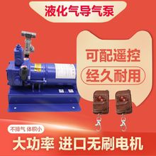 12v液化气泵倒气泵24伏丙烷充气泵车载小型气泵220v液化气导气泵
