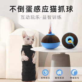 宜特猫咪玩具新款羽毛逗猫器智能感应瓦楞纸球磨爪趣味自嗨猫玩具