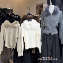 �nϵëë�I�Շ��У�2025���¿���|�p��朌����@���L��ë���_��Ů