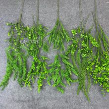 ����Gֲ�\ɫɭϵ��Y�J���ݲ�ƺ��Y��횲ݑ���zӰ