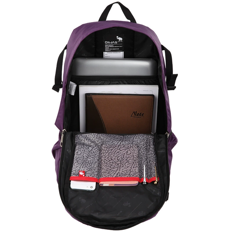 Backpack for leisure, capacious shoulder bag, water repellent travel bag, protective bag, laptop, wholesale