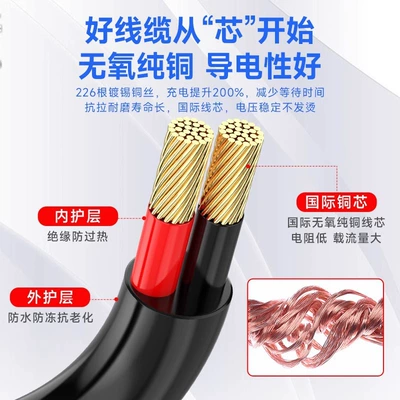 Other Electric Vehicle Accessories cord male and female plug