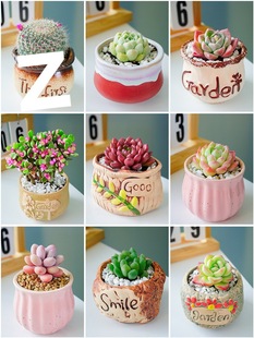 ⎧ֲM҃С¶ҵմɻϘ߶