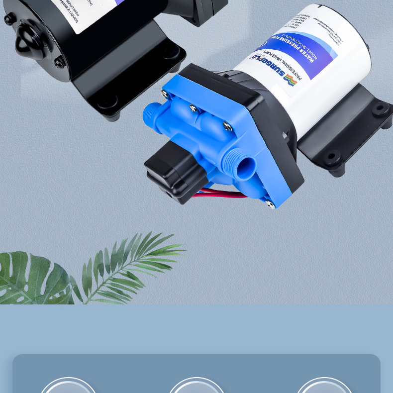 42款12v24v隔膜泵