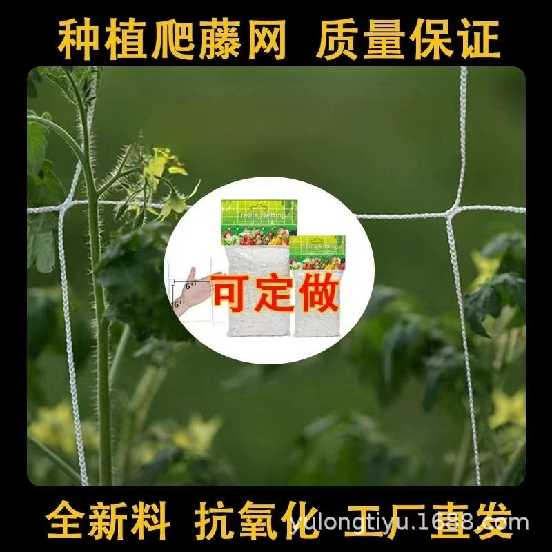 Полиэстер-скалолазание, садоводство, фрукты, овощи, люфа, фасоль, скалолазание, сад, сетка, цветочные растения