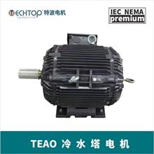 厂家直发冷水塔专用电机 防水高效耐用 TEAO/TEFC泵用抗腐蚀电机