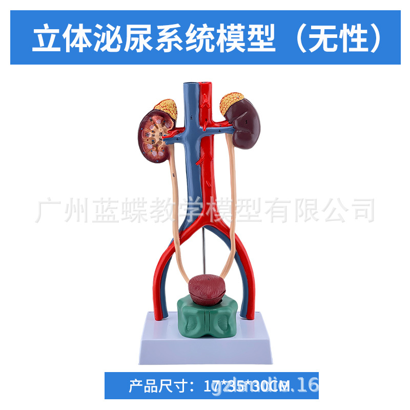 ������������ϵͳģ������ܰ������ ҽѧ��ֳϵͳ�������ģ��