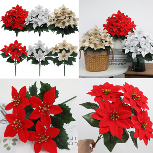 �}�Q���ֹ����滨5��һƷ�t���ٻ��bGֲ��Y�[�����ֲ�����l