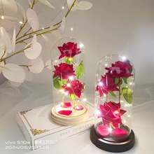 跨境 玻璃灯罩永生花玫瑰花玻璃罩圣诞节七夕情人母亲节绒布花520