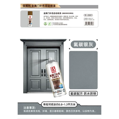 Special Paint Sun Protection Rainproof — Avtomobil boyası - silver-gray-450mlbottle