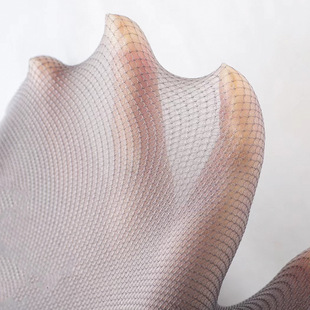 Mesh Fake Meat Leggings Women's Outer Wearing Spring and Autumn Mesh Thin Tight Slimming Pantyhose One-Piece Skin Color