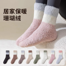 �¿�ɺ���q�m��Ů�ﶬ���Ӻ�ů��Ͳ�m�ӼҲ���ë˯���më�m�ذ�