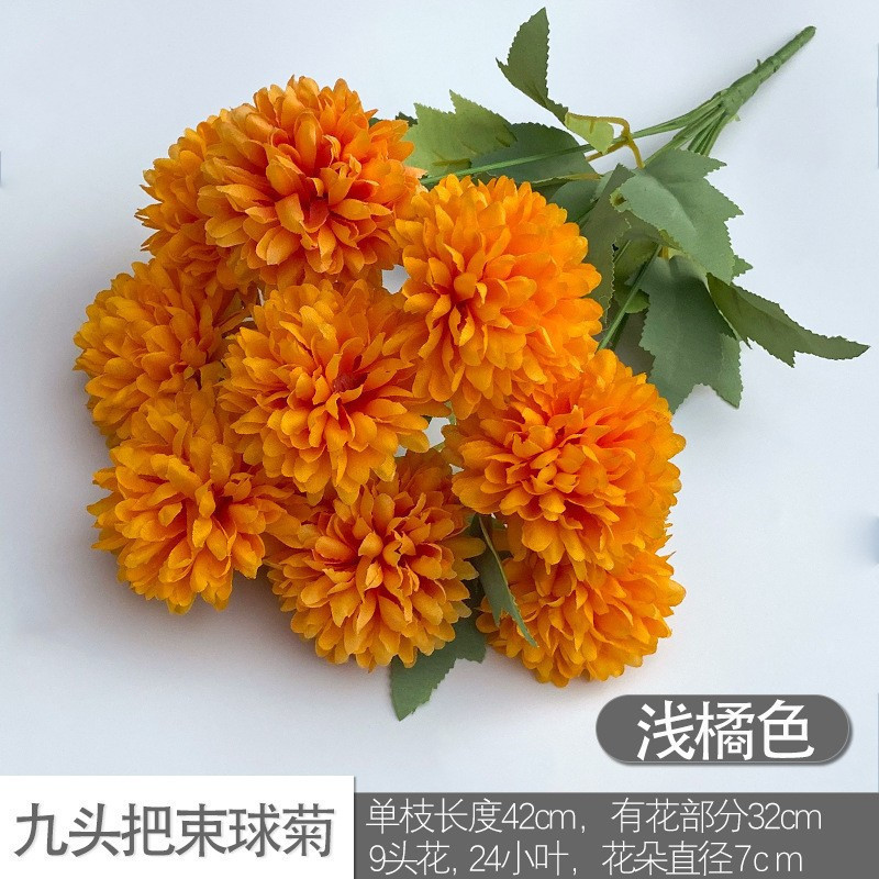 Nine -headed ball chrysanthemum light orange