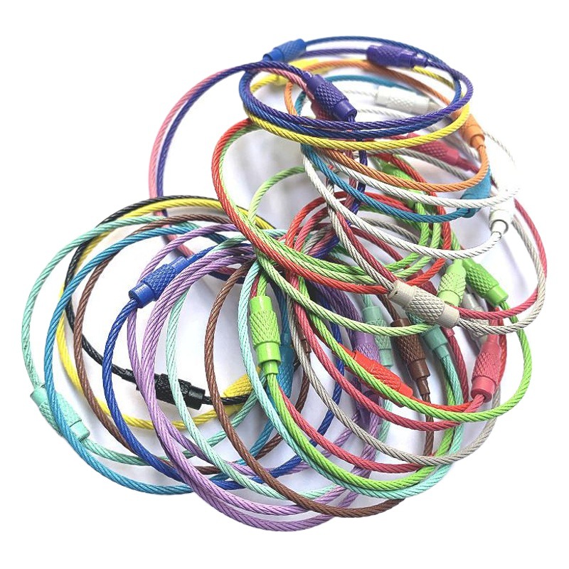 メーカー直販キャンディーカラーキーホルダーカラーペイント亜鉛メッキワイヤーロープタグバッグ漫画キーストラップ