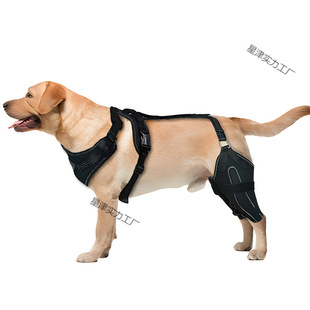 �羳�����o�߹������p�o�ߴ��ȱ��o���g���o�����׿��{����֧��