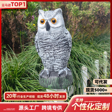 �羳���R�d����؈�^�����ϔ[��ͥԺ¶̨�b��@�쾰�����B����