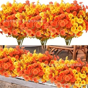 �＾�¿����ٻ����R�d���N�ȼ�����ţ������ͥԺ�b�ֲ�ﻨ���l