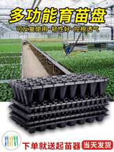 ��������Ѩ�P����P�߲��������P�������бP������Nֲ���װlѿ