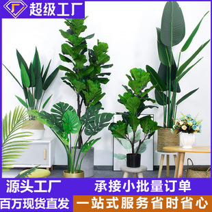 ����ֲ�����˽��辰���W�����b�ɢβ�������҃ȿ͏d��ؼپGֲ