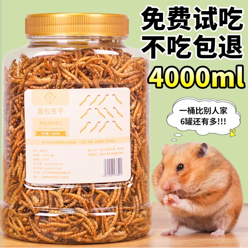 Pet snacks hamster food ornamental fish bread worm dried 500g yellow mealworm feed nutrition hamster food freeze-dried 1