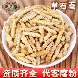 ��ș�����l ��ʳ�Q ���x��  �����x�� �׶��x�� ���Q ���m��