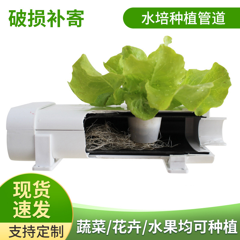 水培种植阳台种菜大棚无土栽培蔬菜设备可开盖中空水培管道100*80|ms