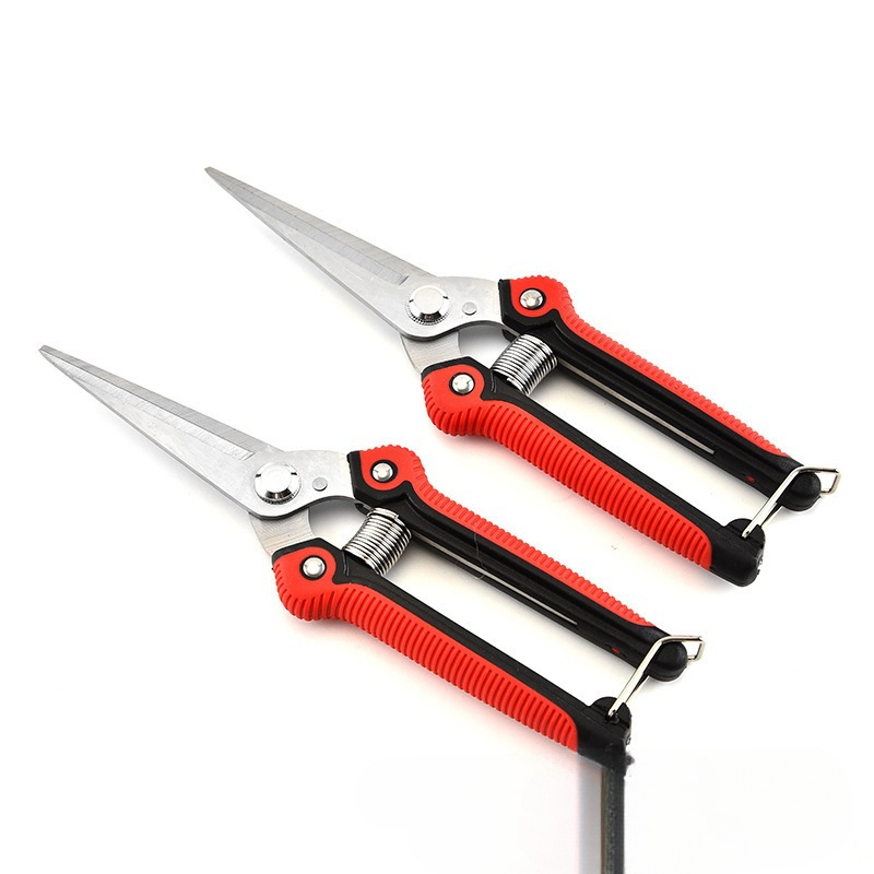 盛邦荣专业不锈钢果园摘果剪刀修枝剪葡萄稀果剪刀修枝果枝树枝剪