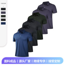 2025亚马逊春夏新款男士休闲POLO衫抗菌速干商务风T恤短袖上衣