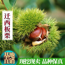 �������޽Ӵ�t���w���������Ϸ������������Ә��箔��Y��