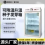 智能双控光照降温培养箱