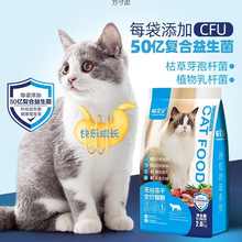 Ͽ͌ĸ؈Ã؈Z؈Ʒڑ؈ӲͮaQl