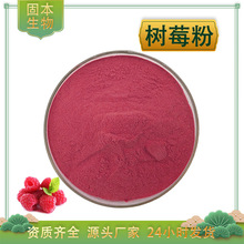 ��ݮ��ˮ�ܘ�ݮ���۸����ӹ��ۘ�ݮ��ȡ���ݮ��s֭�۬F؛���]