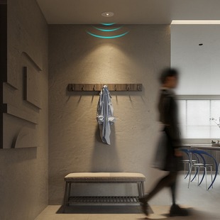 Embedded Human Body Induction Downlight Zhongshan Infrared Entrance Corridor Household Living Room Corridor Aisle Induction Spotlight