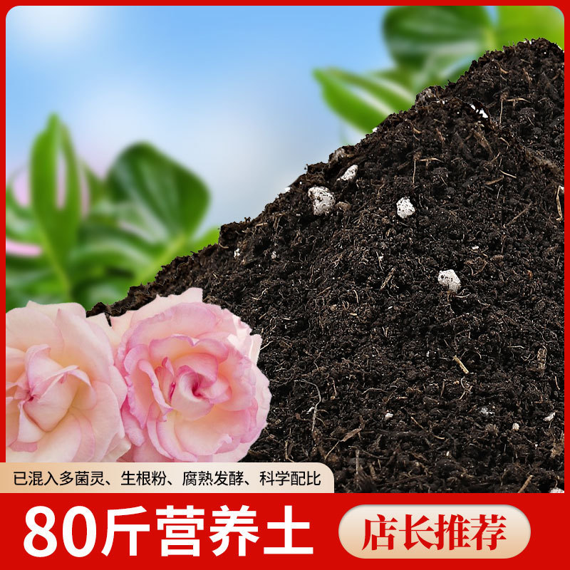 营养土植物通用型养花土种菜专用透气疏松盆栽花卉可用土壤种植土|undefined
