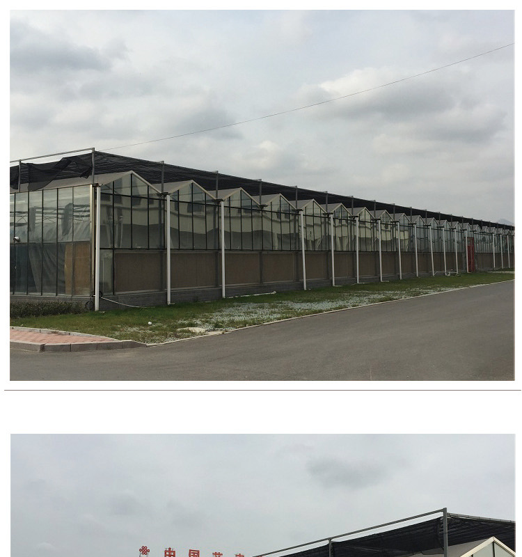 玻璃溫室_14.jpg