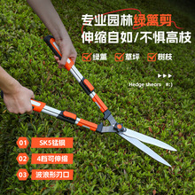 ���l�������s�@�ּ����@ˇ���ò�ƺ�޼����ݼ���֦���߾G�h��