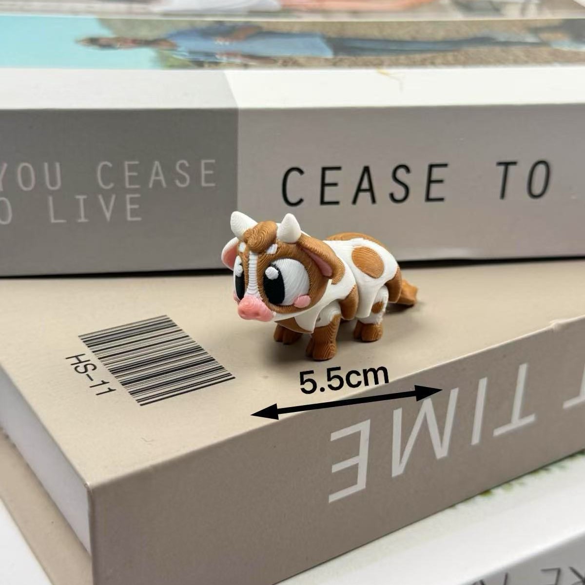 소 5.5cm