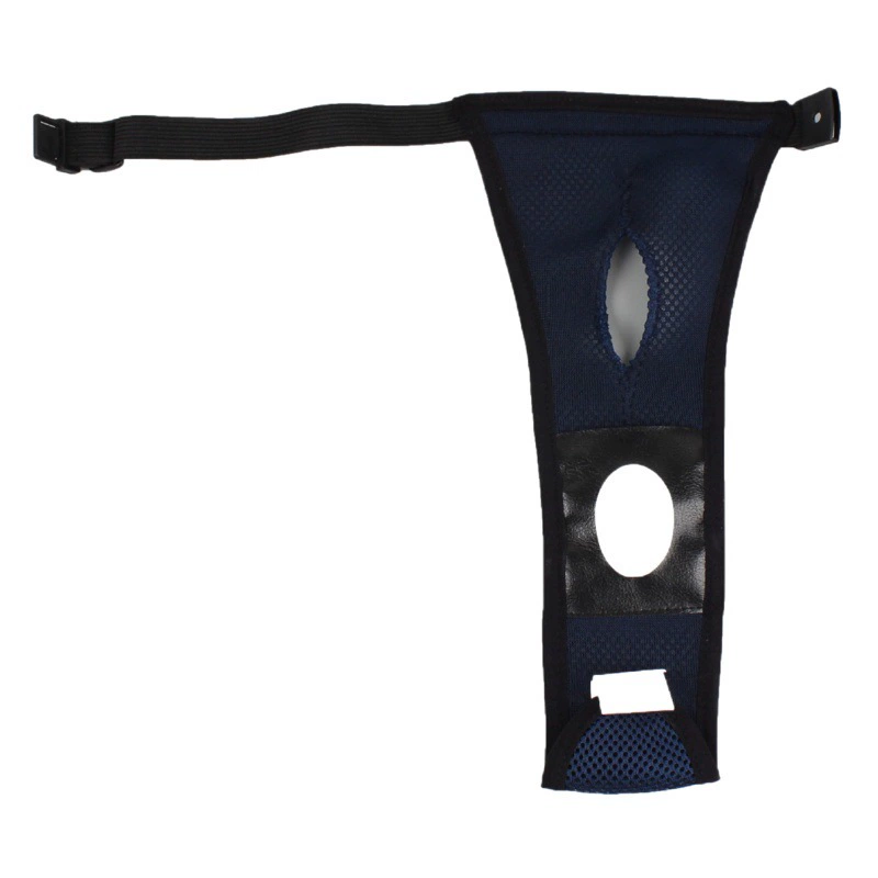 2024 новый питомец сэндвич сетка собака здоровье брюки Наша поставка фабрики спасибо старый клиент цена благосостояния