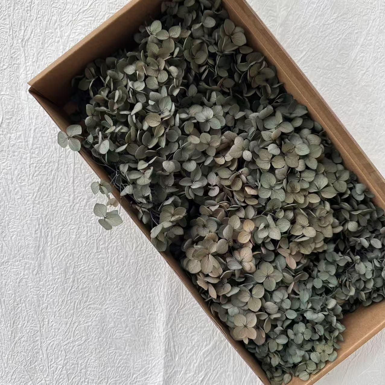 Gris vert absorbant la couleur / 5G en boîte
