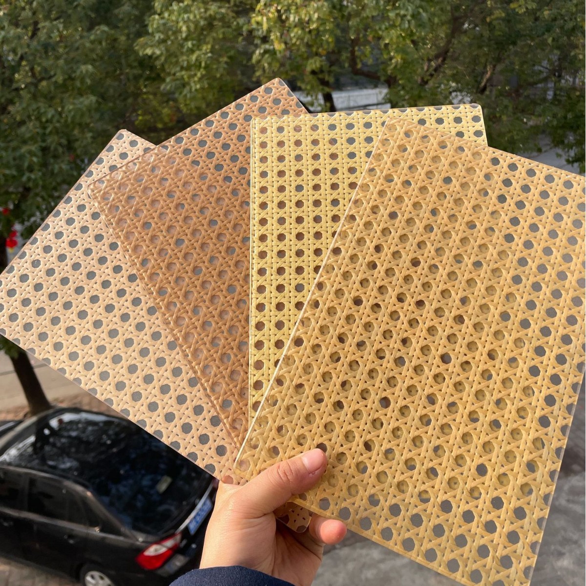 2025-03-21 09:22:55.jpg