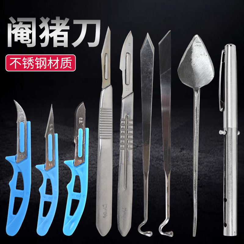 Cuchillo eunuco veterinario cuchillo de castracion tipo pluma bisturí mini cuchillo eunuco herramienta eunuco cuchillo de tapping de cerdo image 1